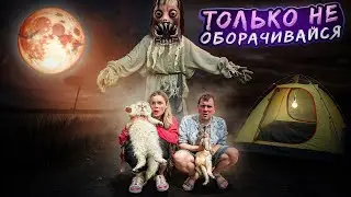 YRKA IN REAL LIFE IN OUR THREE-ROOM TENT WITH CATS AND A DOG
