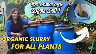 ജൈവ വളം വീട്ടിൽ  EASY ആയി തയാറാക്കാം | How to make Jaiva Slurry/Organic Manure Easily In Malayalam