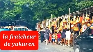 la fraîcheur de yakouren attire les familles