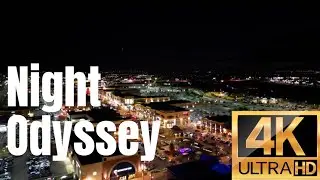 City Lights & Fall Delights: A Nighttime Drone Odyssey