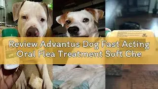 Review Advantus Dog Fast Acting Oral Flea Treatment Soft Chews Dogs 23 - 110 lbs. | 7 ct.