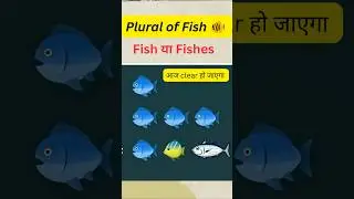Plural of Fish is Fish Vs Fishes #english #shortsfeed #shorts #plural