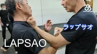 LAPSAO 早く戦えるため、ゆっくり練習できる方法　詠春拳