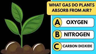 Ultimate General Knowledge Quiz 2025 | Test Your Brain & Trivia Challenge!