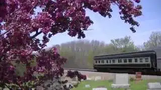 Amtrak with Pullman Car Passes Cherry Blossoms