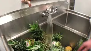 Marcus Antebi - How to Wash Produce in a Small Sink Manually. Juice Press Founder