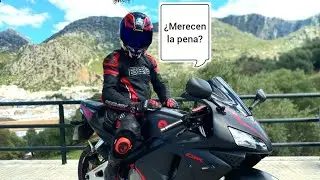 &iquest;Merecen la pena los monos Bela? 🤔