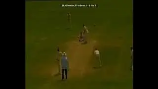 Tim Ludeman - legside stumping