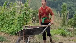 Hardworking Mom Turns Garden Into Hope | Inspiring Farming Story
