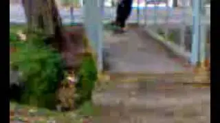 skeittt_222-edgard