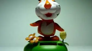 FLIP FLAP BENGAL TIGER SOLAR POWER VID 2