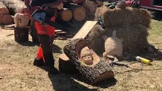 2017 Sunbelt Ag Expo, Moultrie, GA &ndash; Husqvarna Chainsaw Sculpting