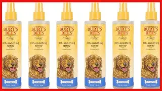 Burt's Bees for Dogs Itch Soothing Spray with Honeysuckle | Best Anti-Itch Spray for Dogs With Itchy