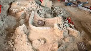 Waco Mammoth Memorial Monument Tour with Ranger Hughes, Part 2