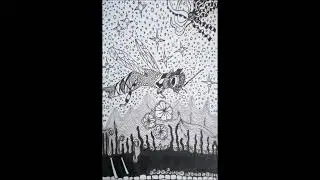 AITNA: Le retour de l'abeille-poisson