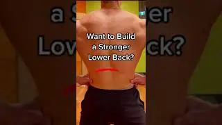 Want a Stronger Lower Back? DO THESE!! #shorts