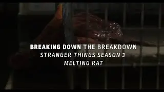 RodeoFX | Breaking Down the Breakdown - Stranger Things 3 Melting Rats