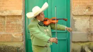 Pop. Homenaje a Jenni Rivera 9Cd-Mariachi Nuevo Tamazula