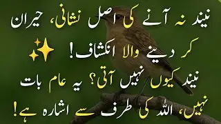 Jab Raat Ko Neend Na Aaye To Samajh Lo Yeh Allah Ka Paigham Hai | Neend Na Aane Ki Nishaniyan