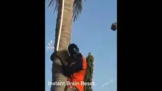 instant brain reset😂🤣😂🤣