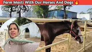 Farm Masti With Our Horses And Dogs ❤️ | Vlog Day -13