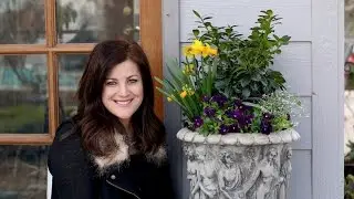 Pretty Spring Containers