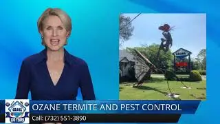 Termite Control Tinton Falls NJ 5 Star Review Ozane.com