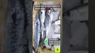 ‼️‼️ORDER FRESH FISH IN MADURAI‼️WILL DELIVER IN DOORSTEP‼️FREE CLEANING AND CUTTING