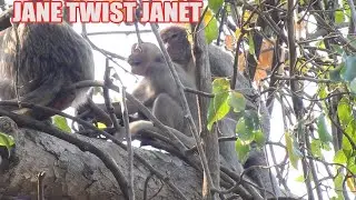 O. M. G. ! JANET VERY ANGRY JEALOUS WITH JANNA AFTER MUM CRUMBLE HER, JANET EXTREMELY CREAMING