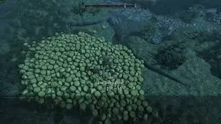 Spawning Cheese in Skyrim Everyday Until The Elder Scrolls 6 Releases | Day 854