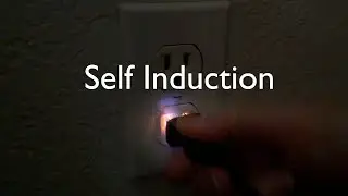 Self Induction | Primary and Secondary Voltage as Magnetic Field Form | Arbor Scientific