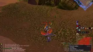 Warrior Practical Prey
