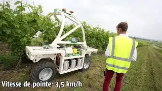 Le robot Ted de Na&iuml;o Technologies chez Hennessy