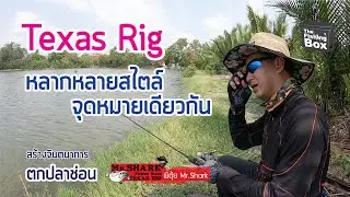 Mr. Shark Fishing Gang Episode 3: Texas Rig - Various Styles, Same Goal (Re-Master)