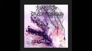 HASHI_MONO - STAGES OF DECOMPOSITION [PROD. GLOOMSTONE]