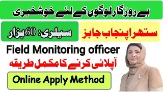 Field Monitoring Officer Jobs 2026 | Suthra Punjab | 60,000 Salary | Online Apply Method