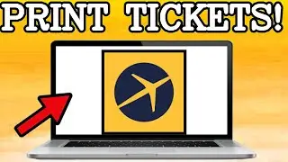 How To Print Out Plane Tickets From Expedia (2025)