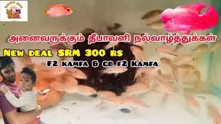 🎇150RS🎇இனிய தீபாவளி ஆஃபர்கள், Imported f2 Kamfa and Gb kamfa, SRM in tamil (wholesale and retail)