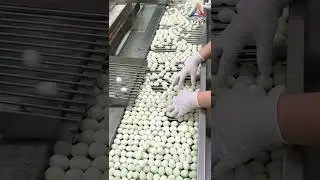 500kg/h quail egg boiling machine