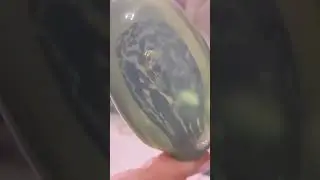 у меня своя Пасха) все яйца #нашланазаводе #красныймай #коп#копатель