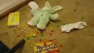 Vacuuming up marbles, doll stuffing, spilt candy and socks