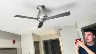 Потолочный вентилятор Altus Flush 42 дюйма от Modern Fan Company + потолочные вентиляторы для вес...