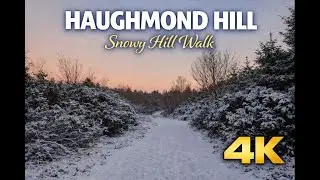 Snowy Woodland Walk at Haughmond Hill ❄️ | Peaceful Forest Walk in 4K