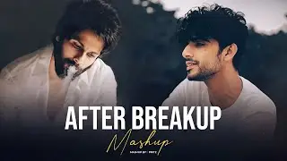 After BreakUp Mashup | Kahani Suno X Afsos | Best Of Breakup Hits | Pritz