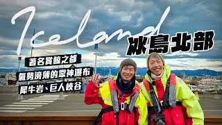 冰島環島【北部篇】｜北部必去 10 大景點：賞鯨、《權力遊戲》溫泉洞穴、犀牛岩、絕美眾神瀑布