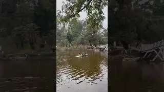 Wards lake Shillong
