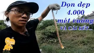 Dọn dẹp CÔNG TY ngày 30 tết và cái kết QÚA MẶN...- Xe Ôm Vlog