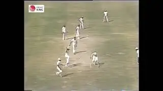 Saleem Malik batting with one hand after broken left arm vs Westindies 1986