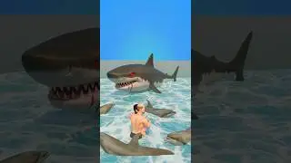40 Minutes Trapped Between Dolphins and a Great White Shark 🐬🦈😱#shorts