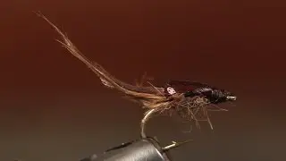 Let the Fur Fly